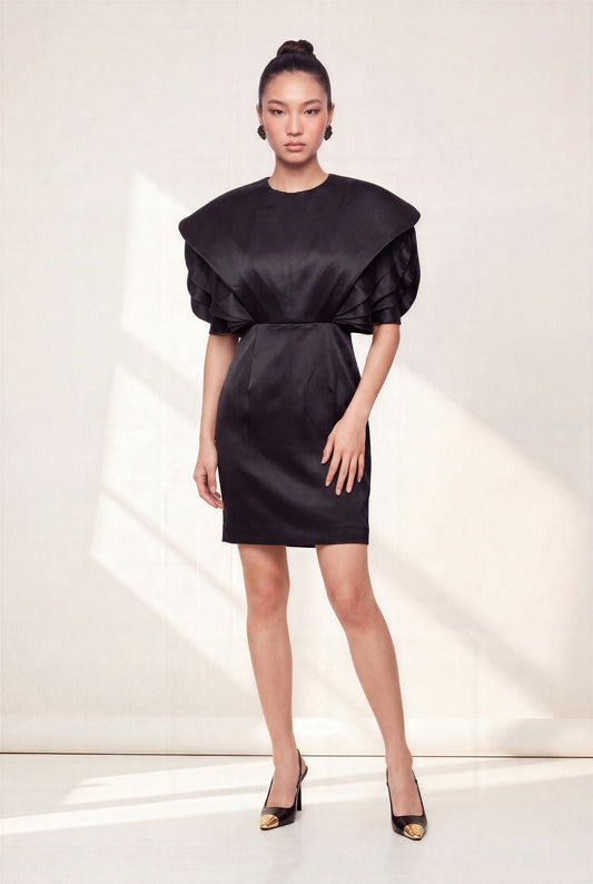 WINGED DRESS
