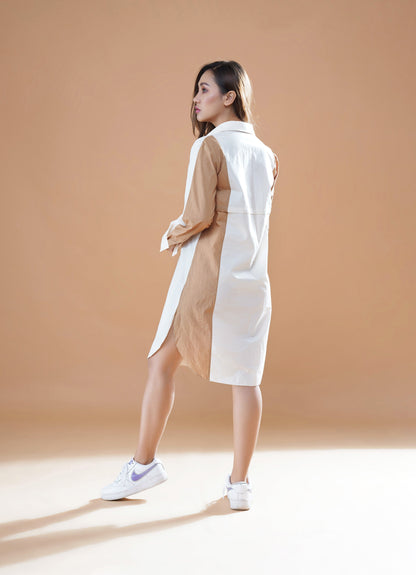 DANI SHIRT DRESS